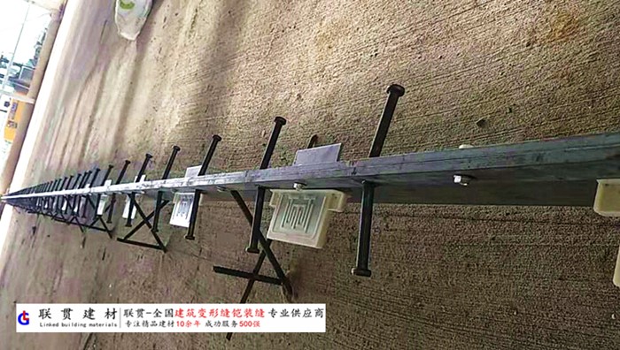 阳江市铠甲缝施工案例